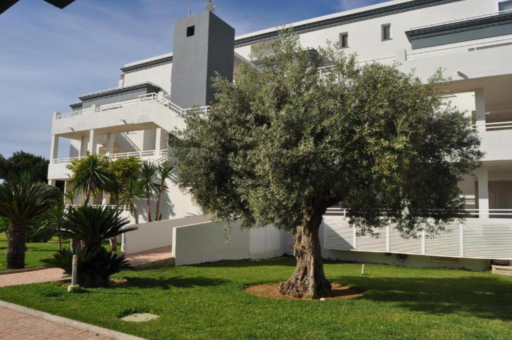 Oasis Hoyo 12 - Oliva Nova Playa Met&Golf Apartment Exterior photo